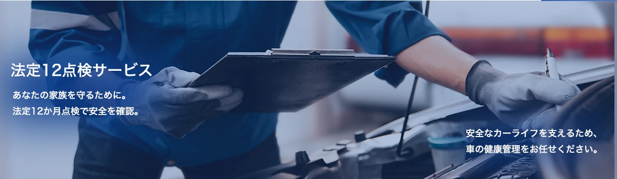 法定12点検